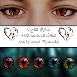 Eyes #75 project image