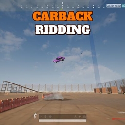 Carback Ridding project image