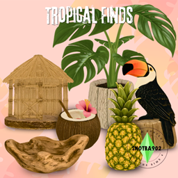 Tropical Finds project image