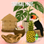 Tropical Finds logo