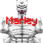 SpringDAOT: Marley logo
