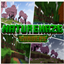 NatureHaze Shader logo