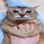 CreeperNotif logo
