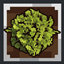 Goose's Leaves logo
