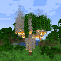 REBORN FIRE
