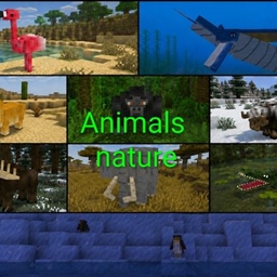 Animals nature  project image