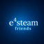 e4steam Friends logo