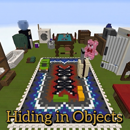 Hiding in Objects
