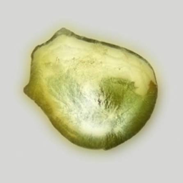 An Albinspoon of Polonium project image