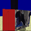 Bcat09 Destiny logo