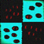 The_Window.json (ARG) (HORROR EVENT) logo