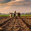 Farm and explore logo