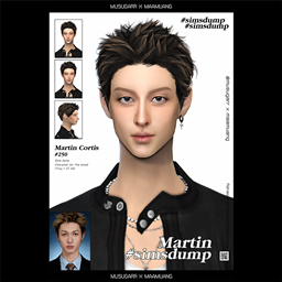 Martin Cortis | Sims dump #250 project image