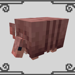 Armadillo project image