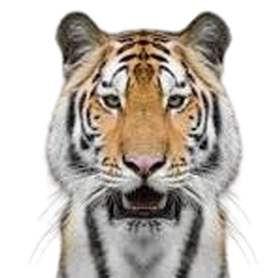 The Mighty Tiger Experience logo