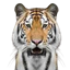 The Mighty Tiger Experience logo