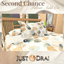 Second Chance Collection - Part 4 - Pillow Addon logo