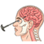 Instant Lobotomy But on bedrock logo