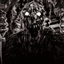 Walking the last Undead logo
