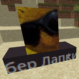 gaysenst project image