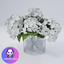 OsZ Hydrangea logo
