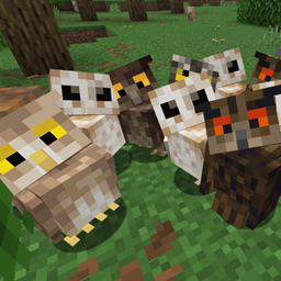 Courier Owls project image
