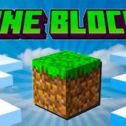 One Block SkybIock project image