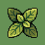 Herbalist logo