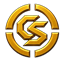 Selective Custom Skins logo