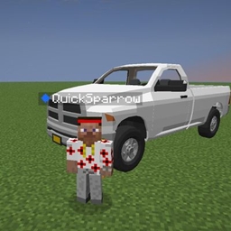 some standart pack my name carnice project image