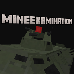 MineExamination