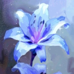 Wonder Flora