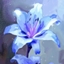 Wonder Flora logo