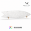 Wall Surfboard [VZ] logo