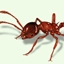 BP Aggro logo