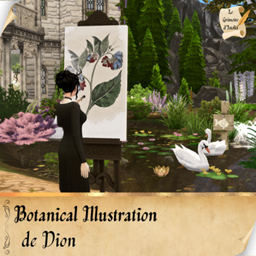 Botanical Illustration de Dion | Trad FR project image