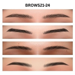 brows21-22 project image