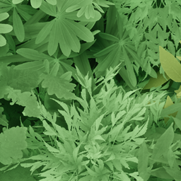 Fantastik Leaves project image