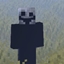 Fake player logo
