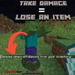 Taking Damage Deletes an Item