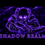 ShadowRealm Solo Leveling Server logo
