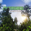 Overgrown V 0.4 Major Overhual! logo