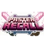 Paster_Recall logo