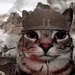 Rattom's military logo