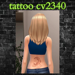 tattoo cv2340 project image