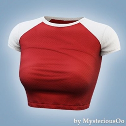 Raglan crop t-shirt project image