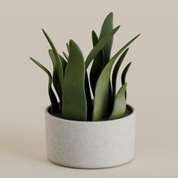 Flora Plant project image