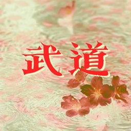 Budo project image