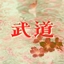 Budo logo