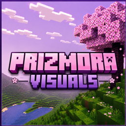 PRIZMORA VISUALS project image